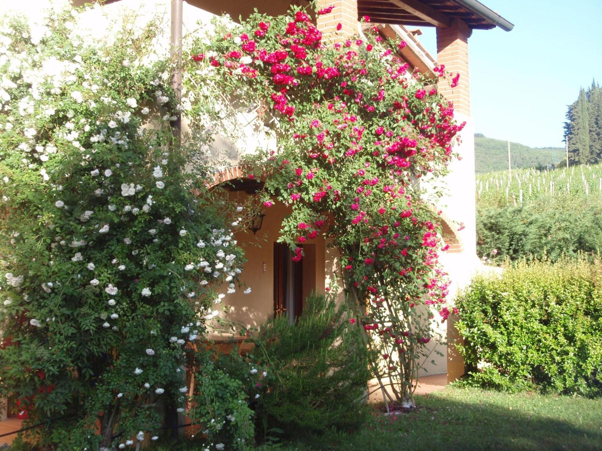 Villa Buonasera Agriturismo Greve in Chianti Exterior foto