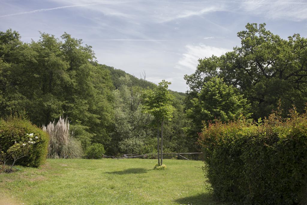 Villa Buonasera Agriturismo Greve in Chianti Exterior foto
